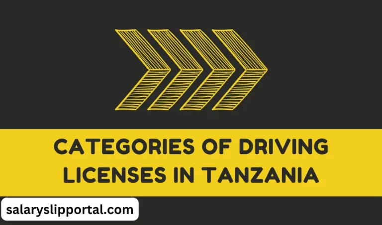 Categories of Driving Licenses in Tanzania 4 Categories of Driving Licenses in Tanzania