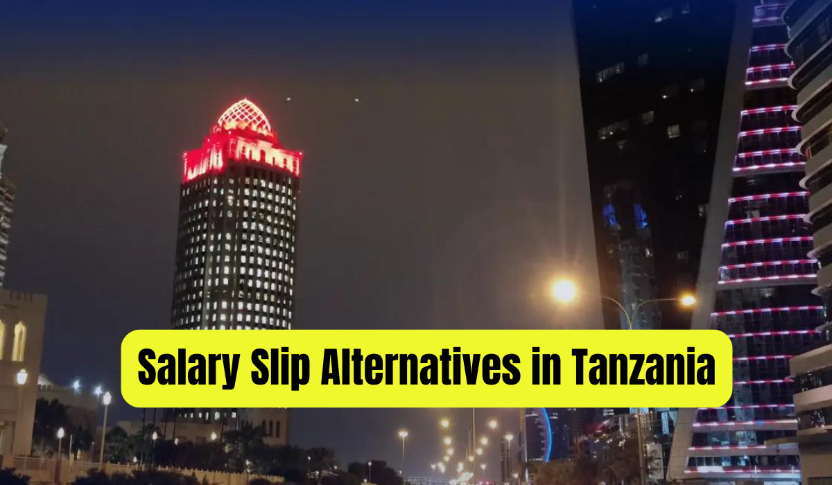 Salary Slip Alternatives in Tanzania